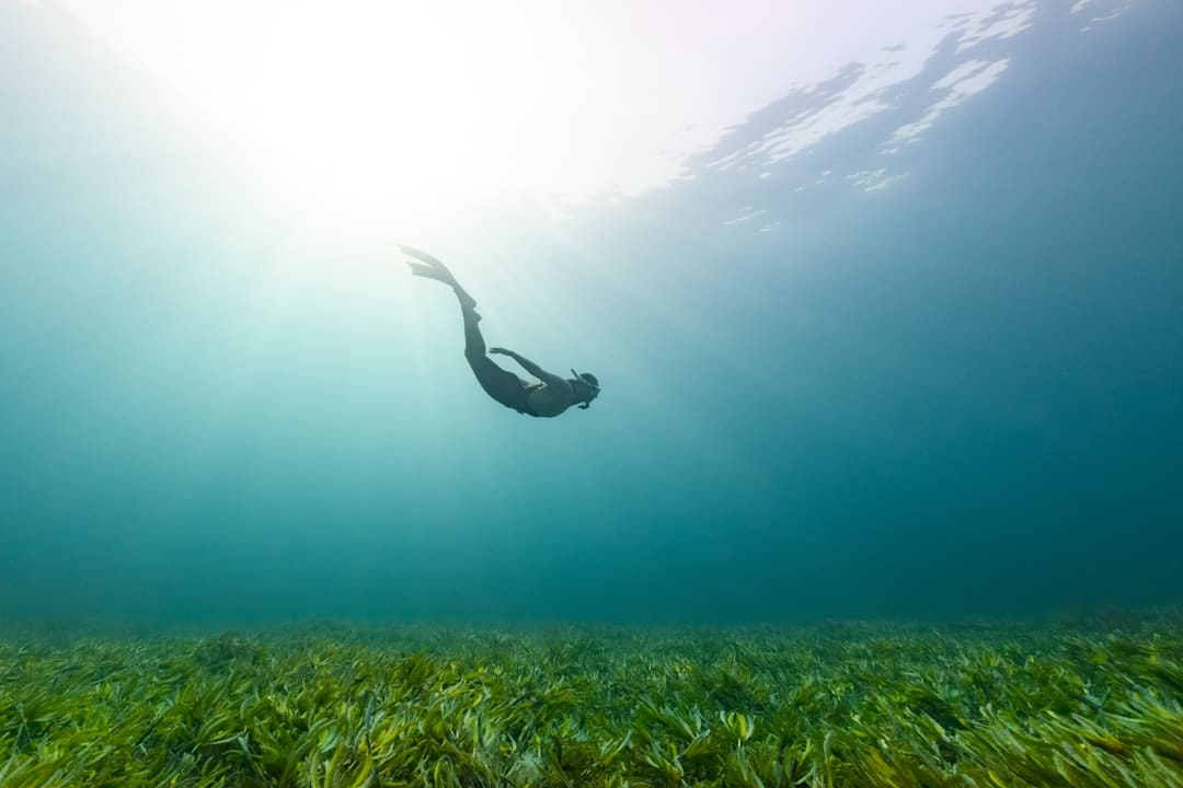 découvrez l'importance de la biodiversité pour notre planète, ses écosystèmes et les services qu'elle apporte. explorez les menaces qui pèsent sur cette richesse naturelle et les actions que nous pouvons entreprendre pour la préserver.