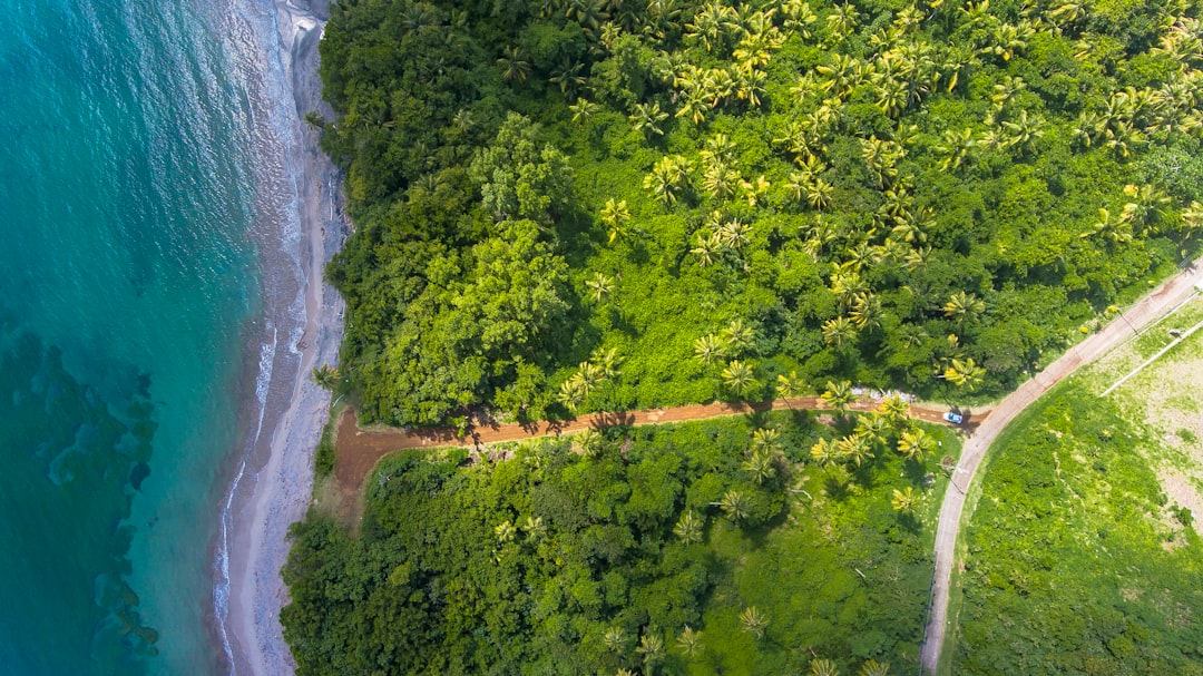 découvrez les enjeux du développement durable et comment il peut transformer notre avenir. explorez des solutions innovantes, des pratiques écoresponsables et l'importance de préserver notre planète pour les générations futures.