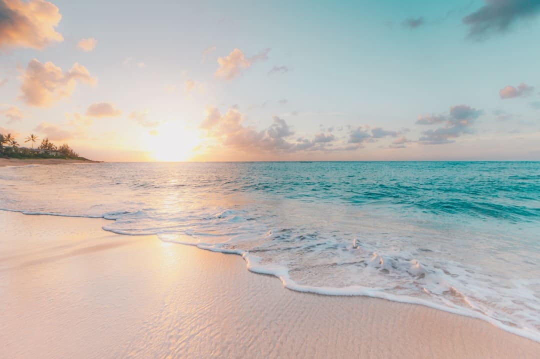 découvrez l'essence de l'été : des journées ensoleillées, des activités en plein air, des vacances inoubliables et des souvenirs à partager. plongez dans cette saison conviviale et relaxante, où chaque moment est une invitation à profiter de la vie.