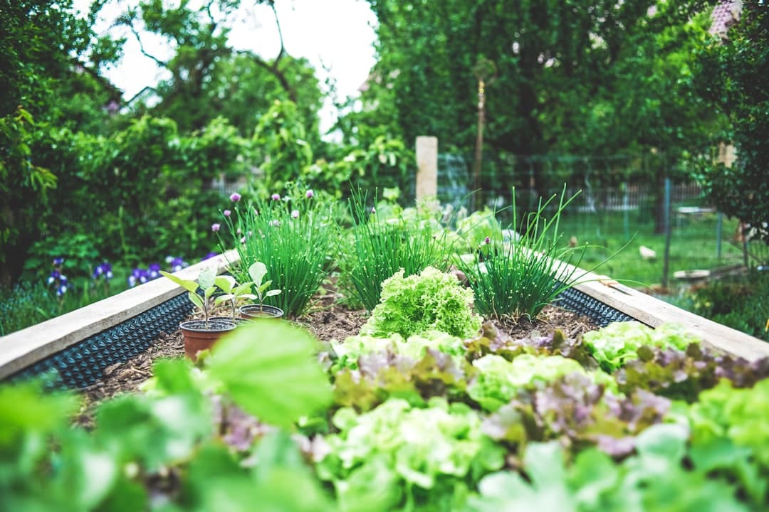 découvrez l'univers enchanteur des jardins : des conseils de jardinage, des astuces d'aménagement et des idées pour créer un espace extérieur harmonieux et épanouissant. cultivez votre passion pour la nature et transformez votre jardin en un havre de paix.