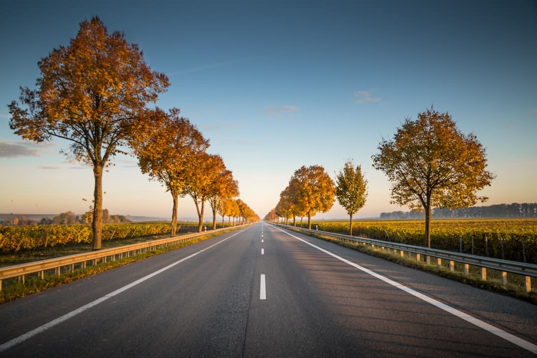 découvrez les aventures captivantes d'un road trip à travers des paysages à couper le souffle, des arrêts inattendus et des expériences inoubliables. préparez-vous à explorer de nouvelles routes, à savourer la liberté des voyages en voiture et à créer des souvenirs qui dureront toute une vie.