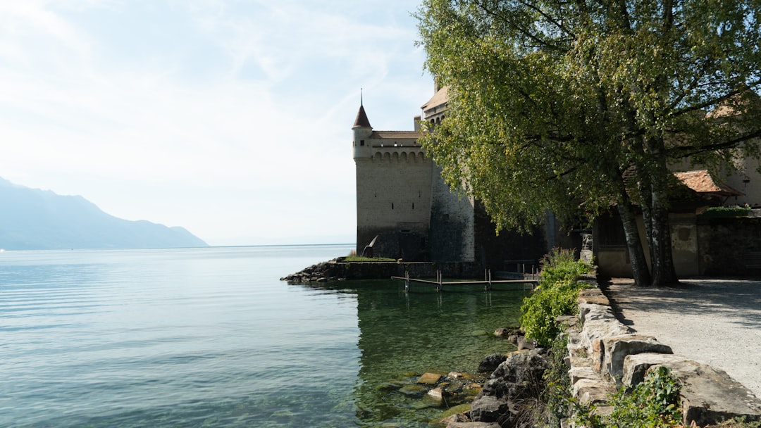 découvrez l'univers fascinant des châteaux, vestiges historiques emblématiques, témoignant de l'architecture majestueuse et des récits d'époque. explorez les plus beaux châteaux du monde et plongez dans leur riche patrimoine culturel.