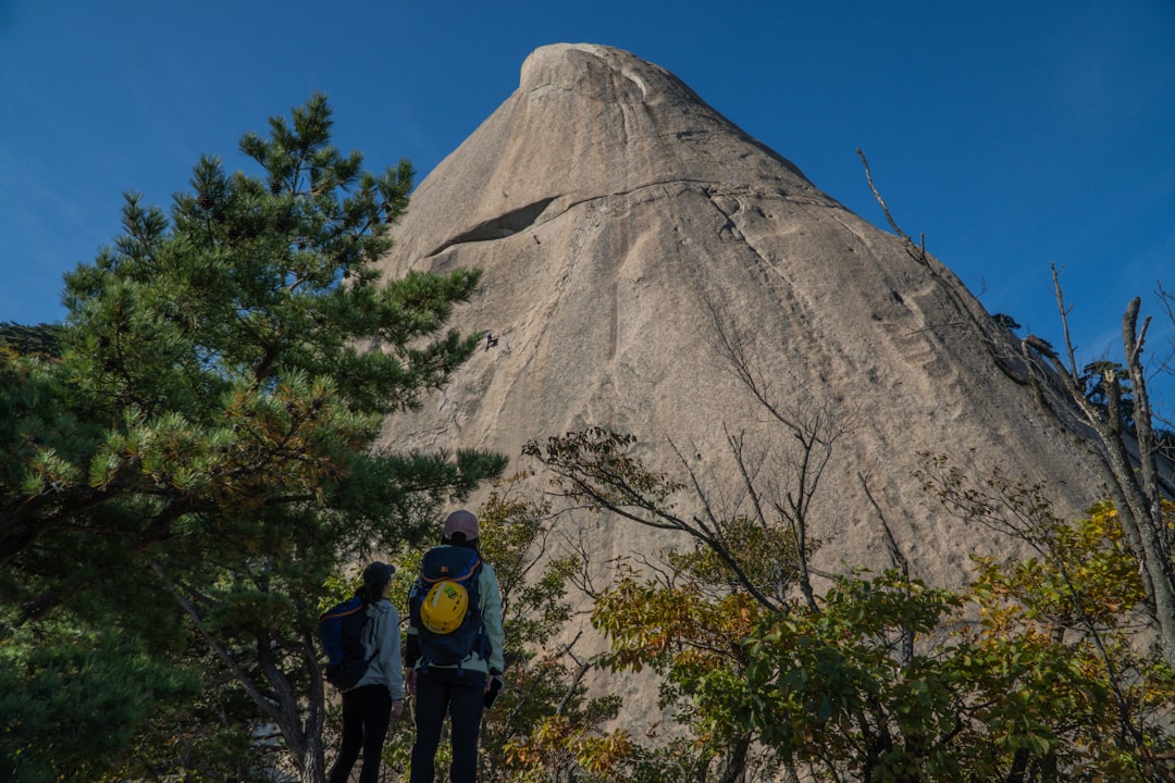 découvrez une multitude d'activités en plein air qui vous permettront de vous ressourcer et de vous amuser, que ce soit à travers la randonnée, le vélo, l'escalade ou d'autres aventures en nature. parfait pour les amateurs d'aventure et de paysages magnifiques.